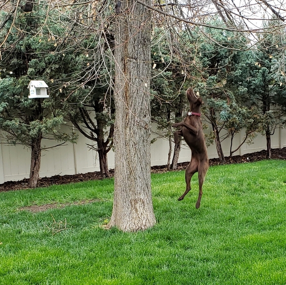 Meet your Posher, Crystal - Picture 15 of 15